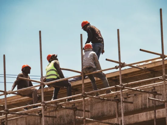 The Value of Qualified Algerian Workers in Addressing Germany’s Labor Shortage