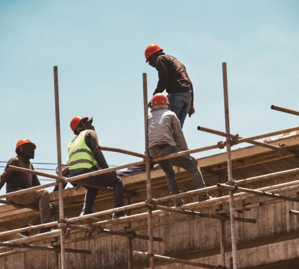 Qualified Algerian Workers